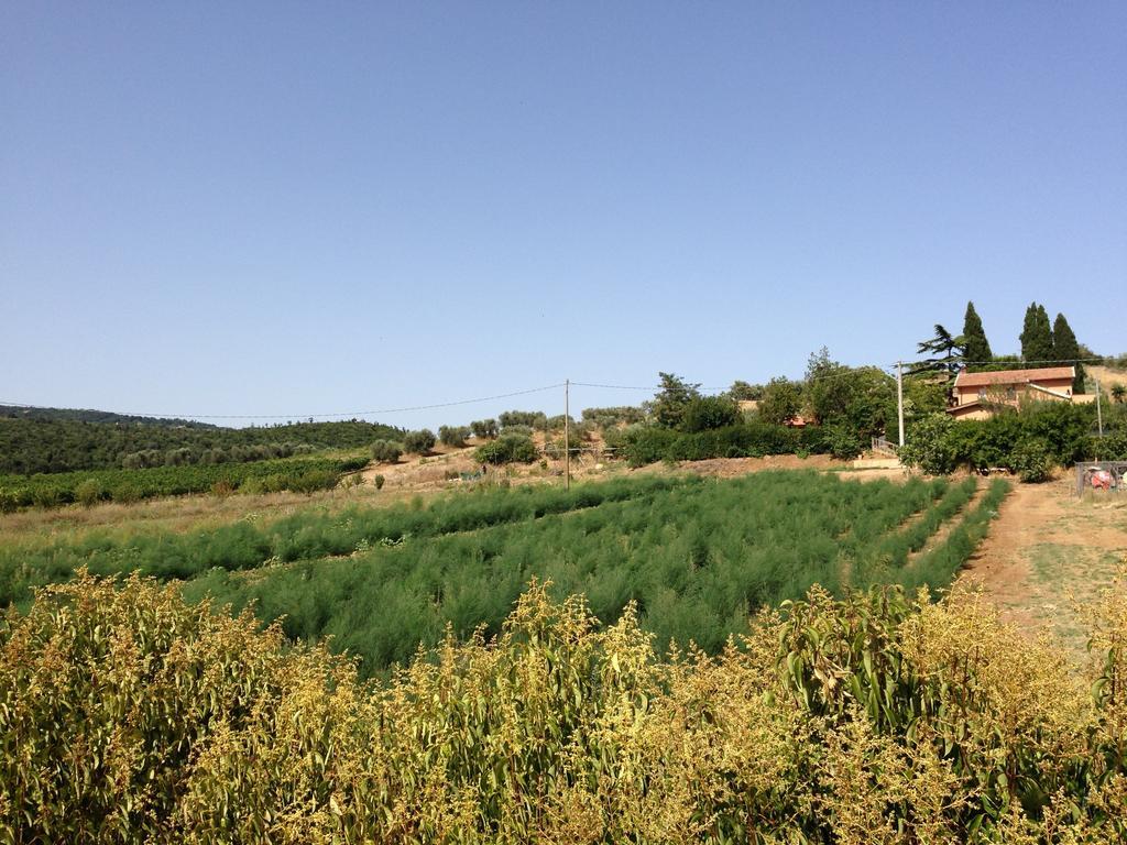 Agriturismo San Mauro Capalbio Exterior foto